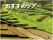 おすすめツアー