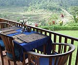 マハギリでのランチ