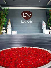 �����B�̃��r�[�ł�