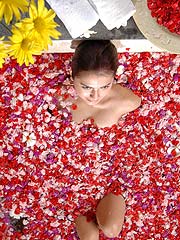 �A���}�t�����[�o�X