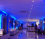 ���C�̒�̂悤�Ȓn���̃��r�[