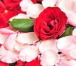 �����Ă���Ԃ̓o���I�E�E�E�E���̃X�p�̖��O�̒ʂ�ł�