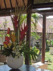 ���r�[�̗l�q