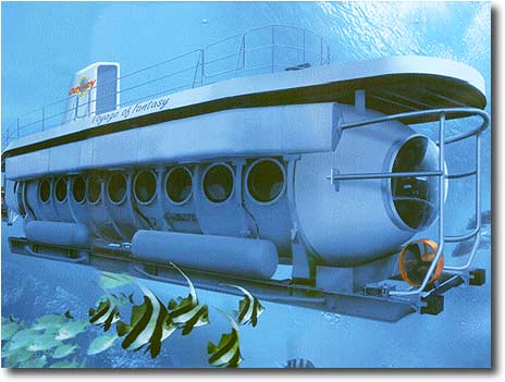 �����C�̒��ɂ́A����������t�j���ł��܂�