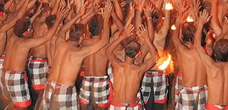 �E�����c�̃P�`���́A���l�C�P�Ԃł�