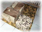 �o�������āA�J�b�g���ꂽ�Ό��ł�