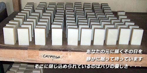 ���Ȃ��̌��ɓ͂����̓���Â��ɖ����đ҂��Ă��܂��B�����ɕ����߂��Ă���̂̓o���̗D�����E�E�E�E�E