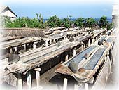 ���z�̉��ŔZ�������������ĉ��ɂ��܂�