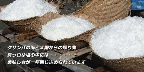 �N�T���o�̊C�Ƒ��z����̑��蕨�A�^�����ȉ��̒��ɂ͔�����������t�����߂��Ă��܂�