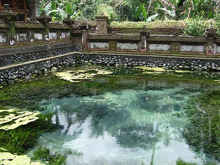 �e�B���^�E�E���v���ɗN�����Ȃ��