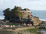 �������̃^�i���b�g