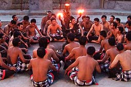 �E�����c�̃P�`���_���X