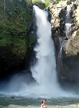 �g�D�O�k���K���̑�