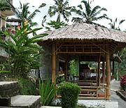 �e���X�p�f�B�J�t�F