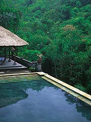 �o�O�[�X�W���e�B