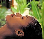 �V���_�[��